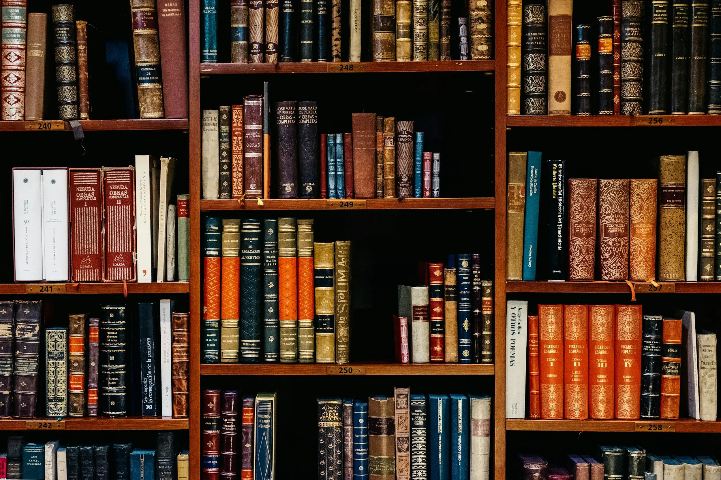 unsplash image NIJuEQw0RKg